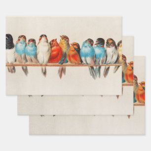 Vogelperspektive, Vogelkunst, Vogelkunst, Vogelkun Geschenkpapier Set