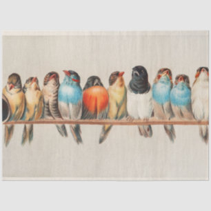 Vogelperspektive, Vogelkunst, Vogelkunst, Vogelkun Seidenpapier