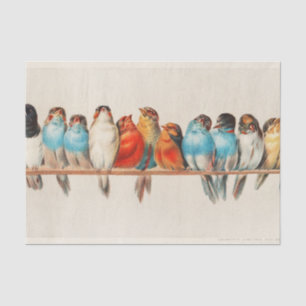 Vogelperspektive, Vogelkunst, Vogelkunst, Vogelkun Seidenpapier