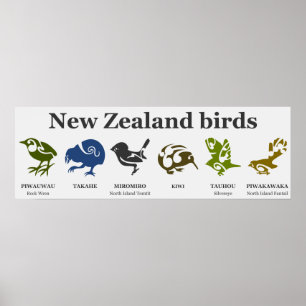 Vogelplakat aus Neuseeland Poster