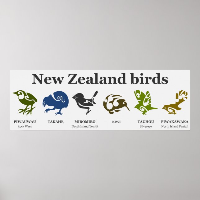 Vogelplakat aus Neuseeland Poster (Vorne)