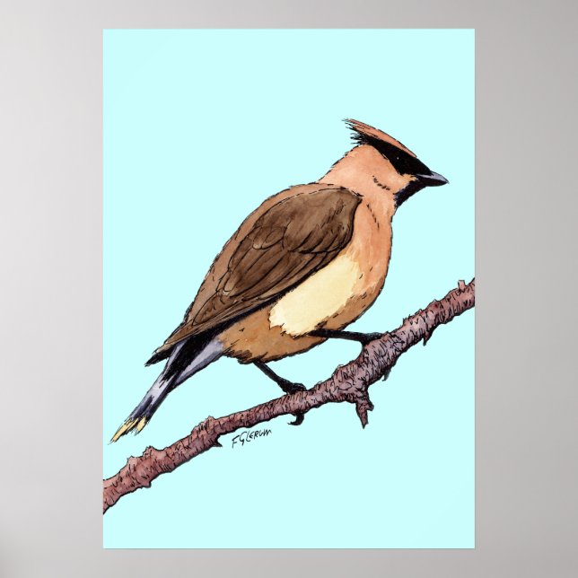 Vogelposter Poster (Vorne)