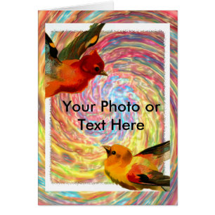 Vogelrahmen 2, Ihr Foto oder Text hier