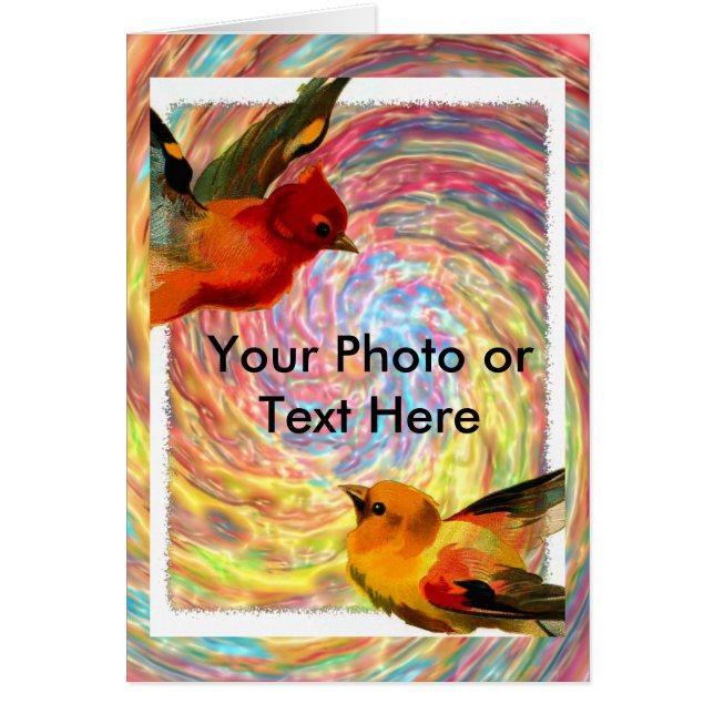 Vogelrahmen 2, Ihr Foto oder Text hier (Vorne)