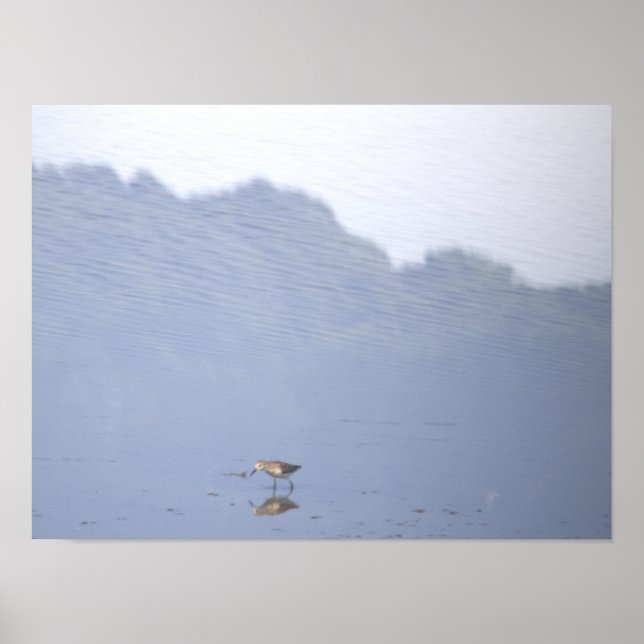 Vogelreflexionsposter Poster (Vorne)