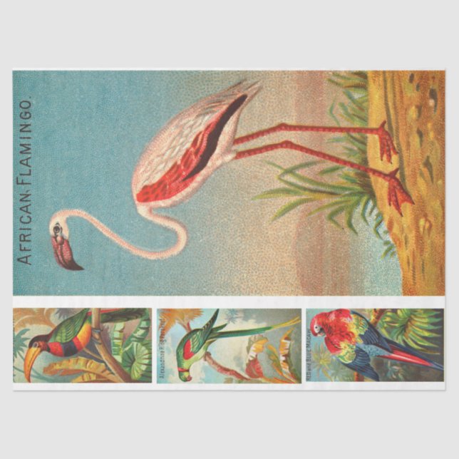 Vogelsammlung Flamingo 2c Vintage Decoupage Seidenpapier (Vorderseite)