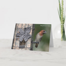 Vogelsammlung: Gewürzfinch (leere Notizen) Karte