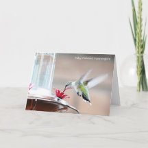 Vogelsammlung: Hummingbird (leere Notizen)