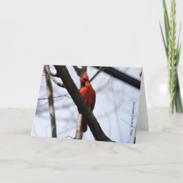 Vogelsammlung: Nordischer Kardinal (Blankonoten) Karte