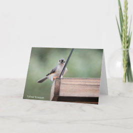 Vogelsammlung: Tufted Titmouse (leere Notizen) Karte