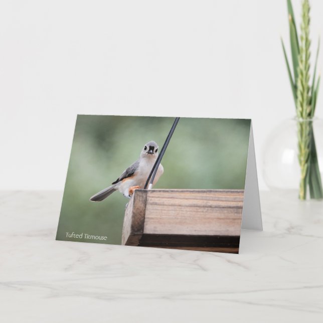 Vogelsammlung: Tufted Titmouse (leere Notizen) Karte (Vorderseite)