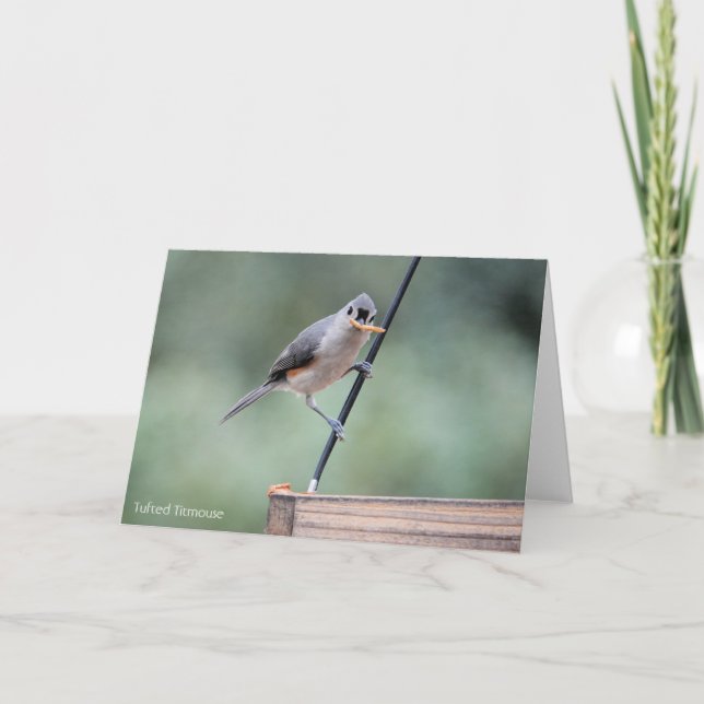 Vogelsammlung: Tufted Titmouse (leere Notizen) Karte (Vorderseite)