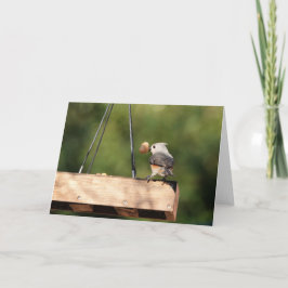 Vogelsammlung: Tufted Titmouse (leere Notizen) Karte