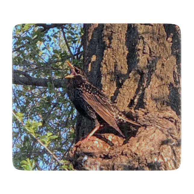 Vogelschneider Schneidebrett (Vorderseite)