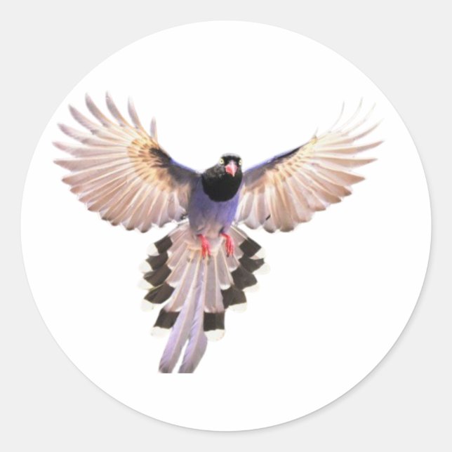 Vogelschutzaufkleber Runder Aufkleber (Vorderseite)