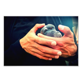 Vogelschütze Fotodruck