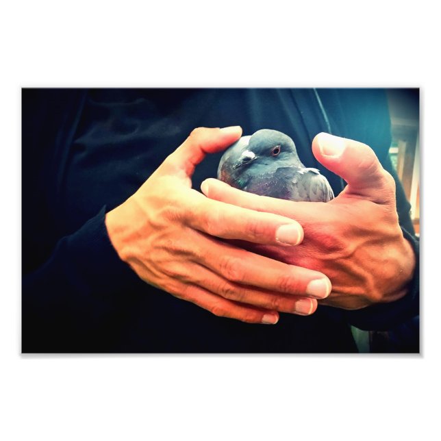 Vogelschütze Fotodruck (Vorne)