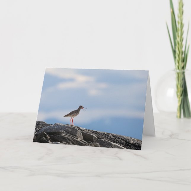Vogelschutzgebiet-Foto Karte (Vorderseite)