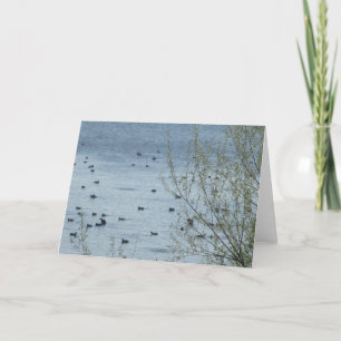 Vogelschutzkarte Karte