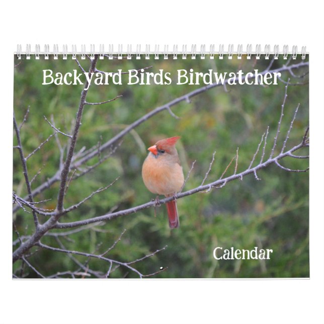 Vogelschutzzeitplan im Hinterhof Kalender (Titelbild)