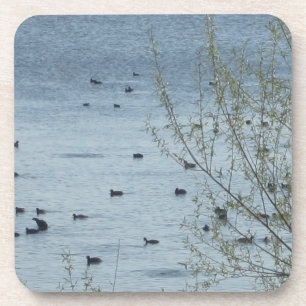 Vogelsee-Untersetzer - Set von 6 Jahren Getränkeuntersetzer