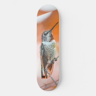 Vogelskateboard Skateboard