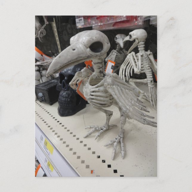 Vogelskelettdekoration Postkarte (Vorderseite)