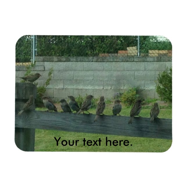 Vogelspangen auf Schienenmagneten Magnet (Horizontal)