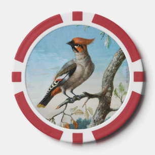 Vogelstudie von George Edwards (1694-1773) Pokerchips