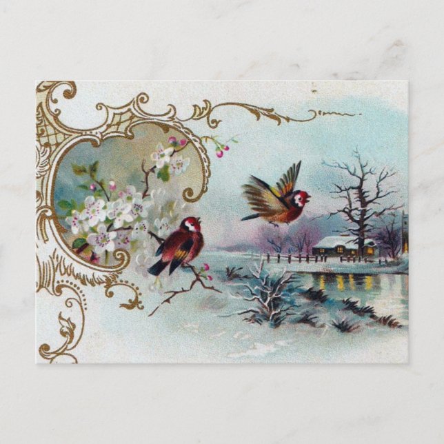 Vogelszene Postkarte (Vorderseite)