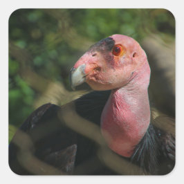 Vogelvogel Quadratischer Aufkleber