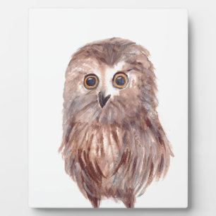 Vogelwaldvogel Fotoplatte