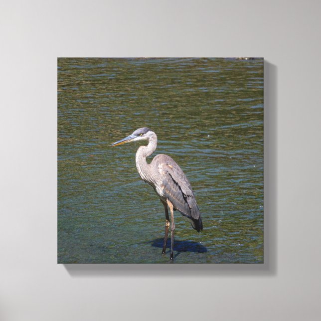 Vogelwelt-Leinwand Leinwanddruck (Vorderseite)