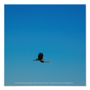 Volant Fotodruck