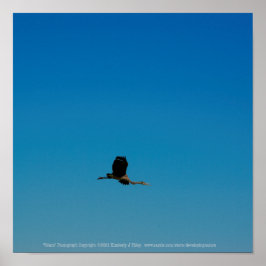 Volant Poster