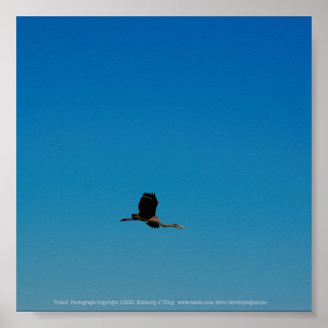 Volant Poster (Vorne)