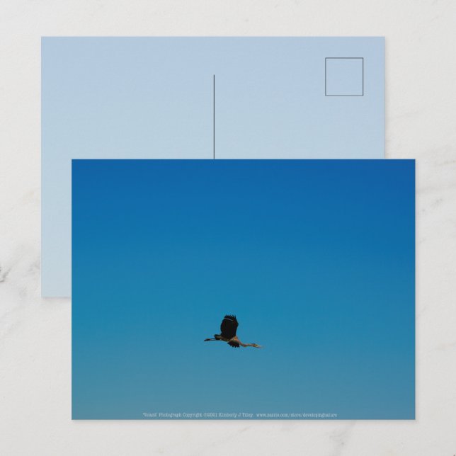 Volant Postkarte (Vorne/Hinten)