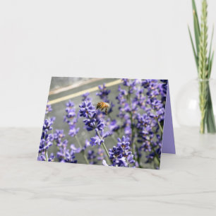 Voll mit Lavendel-Gruß-Karte Karte