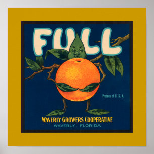 Voll - orange Kisten-Aufkleber (Grenze) Poster