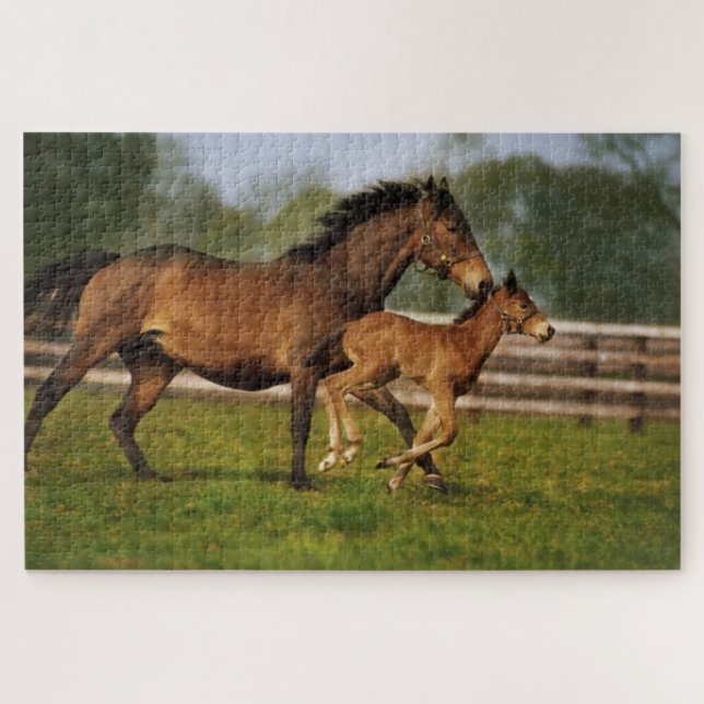 Vollblut-Fuchsstute mit Fohlen Puzzle (Horizontal)