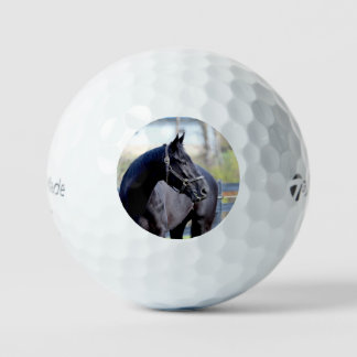 Vollblut Golf Ball