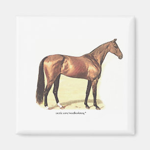 Vollblut Magnet