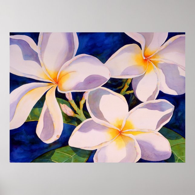 Vollblut Poster (Vorne)