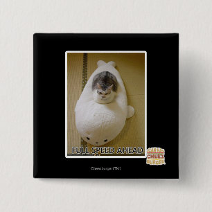 Volle Geschwindigkeit voran Button