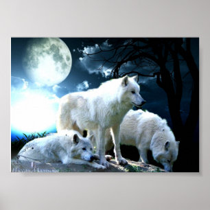 Voller Wolf-Mond Poster
