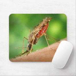 Volles Blut-Moskito-Blutsaugerinsekt Mousepad