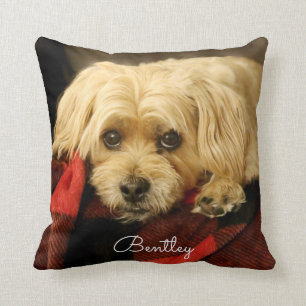 Volles grünes kariertes des Foto-Kissen-  Kissen