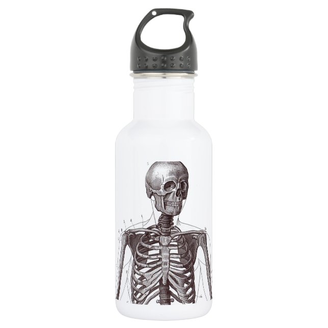 Volles Skelett Edelstahlflasche (Vorderseite)