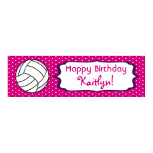 Volleyball Birthday Poster