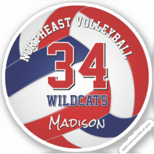 Volleyball-Mannschaftsfarben Kinder rot blau Aufkleber